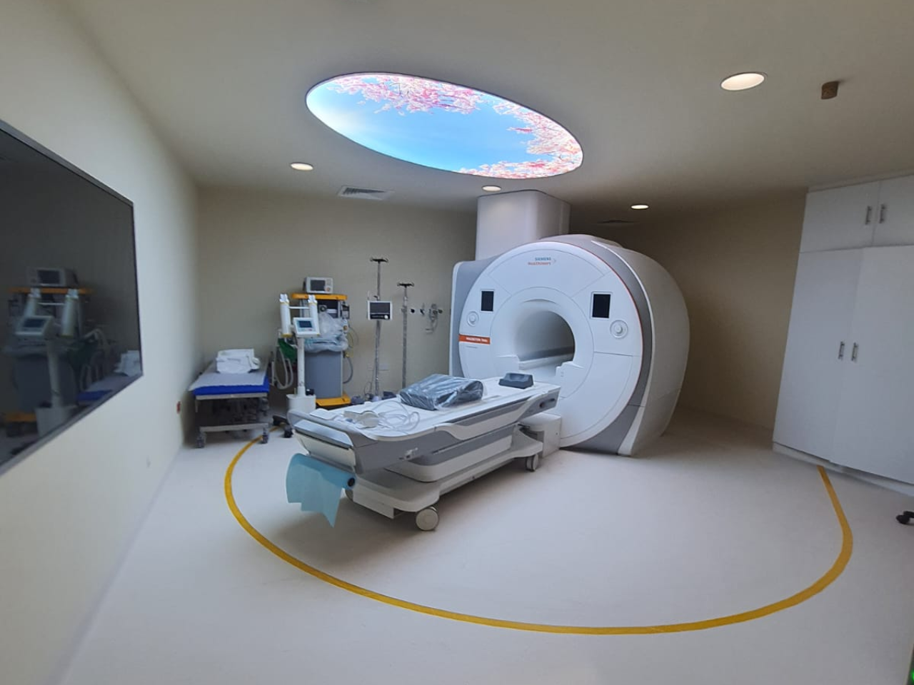 radiology
